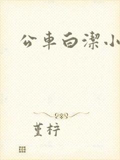 公车白洁小说