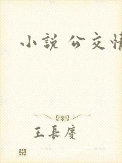 小说 公交情缘