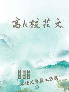高h校花文