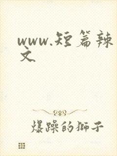 www.短篇辣文