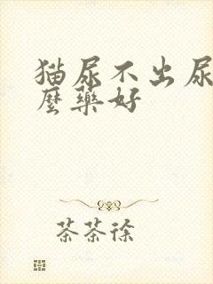 猫尿不出尿吃什么药好