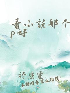 看小说那个app好