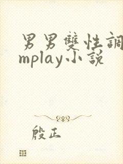 男男双性调教smplay小说