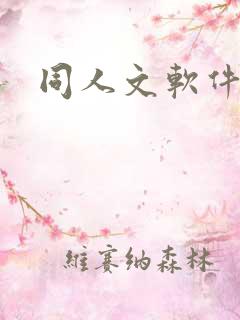 同人文软件小说
