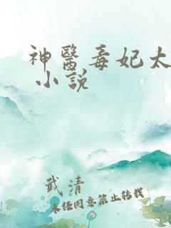 神医毒妃太嚣张 小说