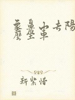 象鼻山去阳朔怎么坐车