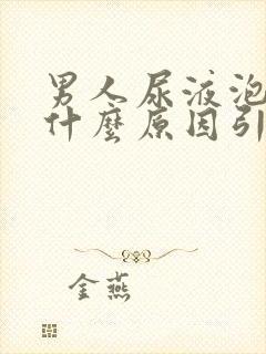 男人尿液泡沫多什么原因引起的