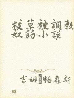 校草被调教成男奴的小说