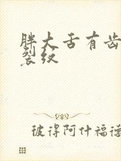 胖大舌有齿痕有裂纹