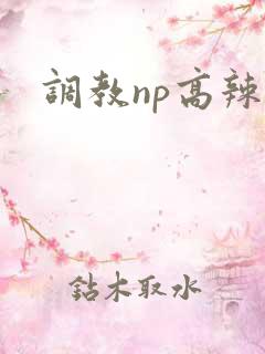 调教np高辣文