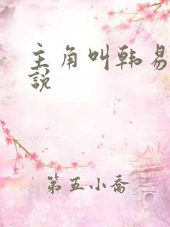 主角叫韩易的小说