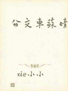 公交车苏晴