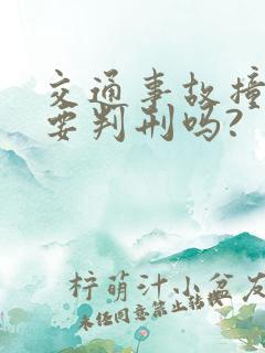交通事故撞死人要判刑吗?
