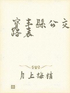 宝丰县公交车线路表