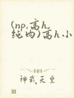 (np,高h,纯肉)高h小说