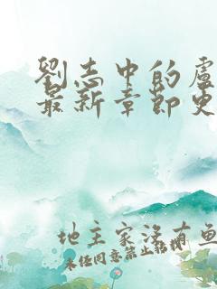刘志中的卢玉清最新章节更新情况