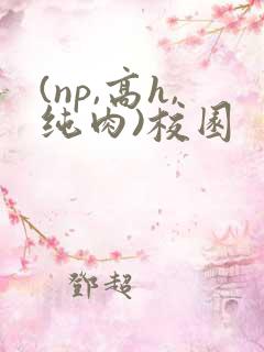 (np,高h,纯肉)校园
