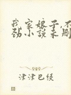 我家娘子,不对劲小说未删版全文