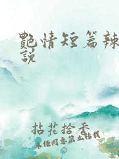 艳情短篇辣文小说 艳情短篇辣文小说