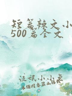 短篇辣文小说集500篇全文