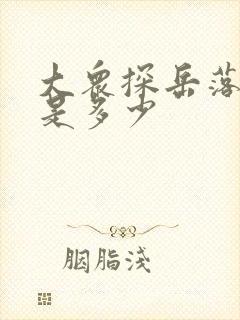 大众探岳落地价是多少
