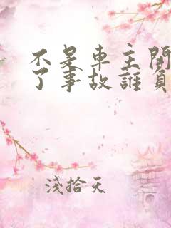 不是车主开车出了事故谁负责