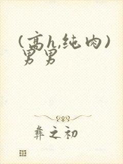 (高h,纯肉)男男