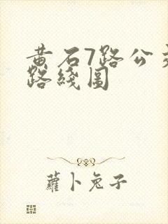 黄石7路公交车路线图