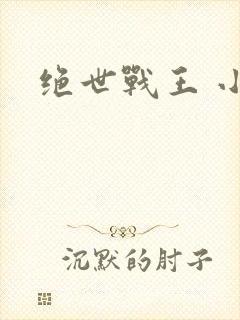 绝世战王 小说
