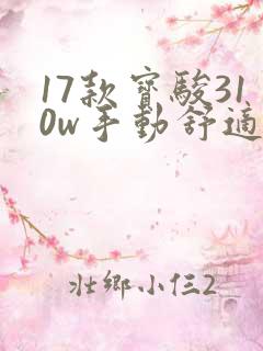 17款宝骏310w手动舒适型