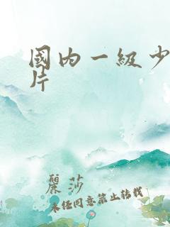 国内一级少妇淫片