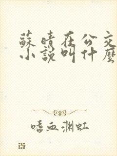 苏晴在公交上的小说叫什么