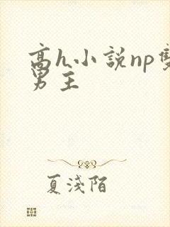 高h小说np双男主