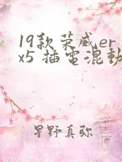 19款荣威erx5 插电混动