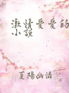 激情爱爱的肉肉小说