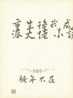 重生后我成了反派大佬 小说