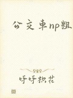 公交车np粗暴