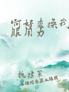 啊好爽操我好舒服用力