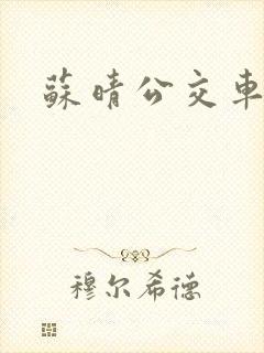 苏晴公交车小说