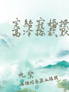 完结宠婚撩人:高冷总裁默默爱 小说