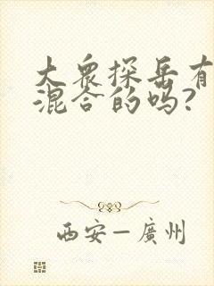 大众探岳有油电混合的吗?