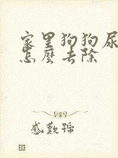 家里狗狗尿骚味怎么去除