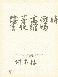 阴蒂高潮时阴道会收缩吗