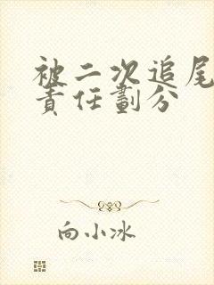 被二次追尾事故责任划分