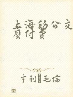 上海的公交车怎么付费