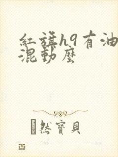 红旗h9有油电混动么 红旗h9有油电混动么
