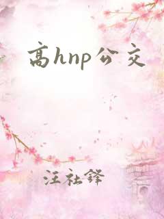 高hnp公交