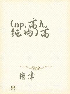 (np,高h,纯肉)高