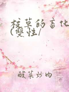 校草的畜化调教(双性/