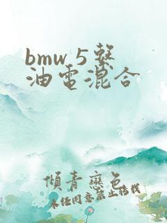 bmw 5系 油电混合